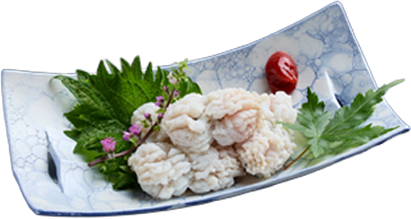 하모(갯장어)